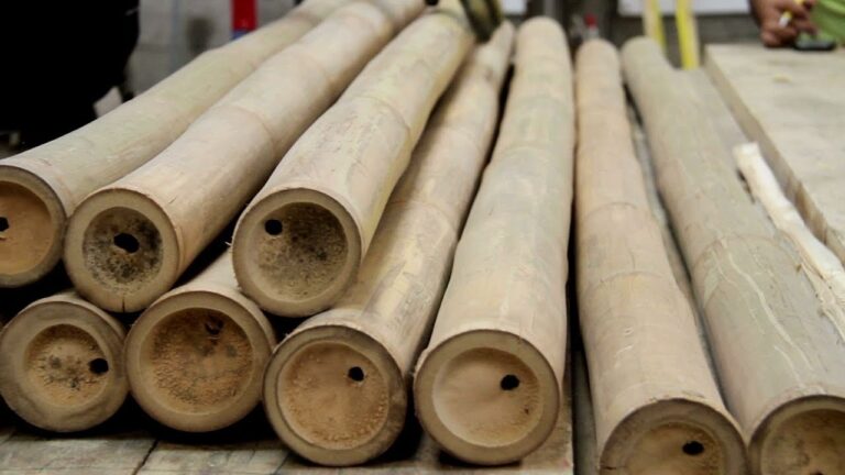 Bambú: ¡La resistencia que necesitas en tus construcciones!